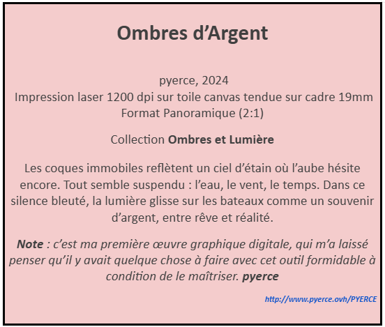 Cartel de Ombres d'argent